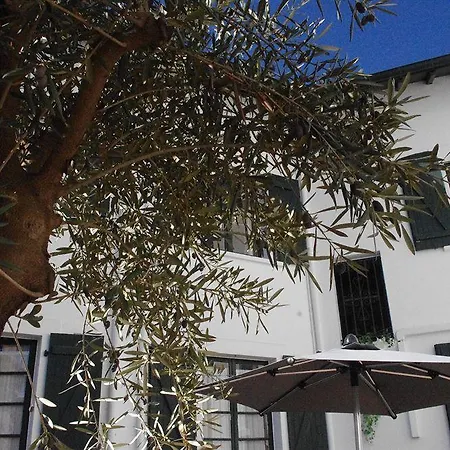 Mosaikhotel Hotel